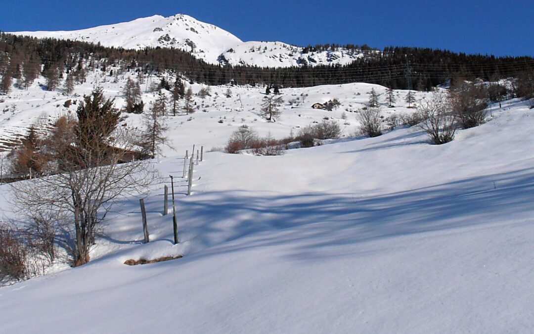 Escursione in ambiente innevato al Mont Saron