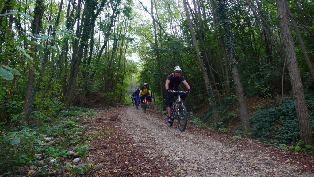 Cicloescursione Gravel Tour in Canavese